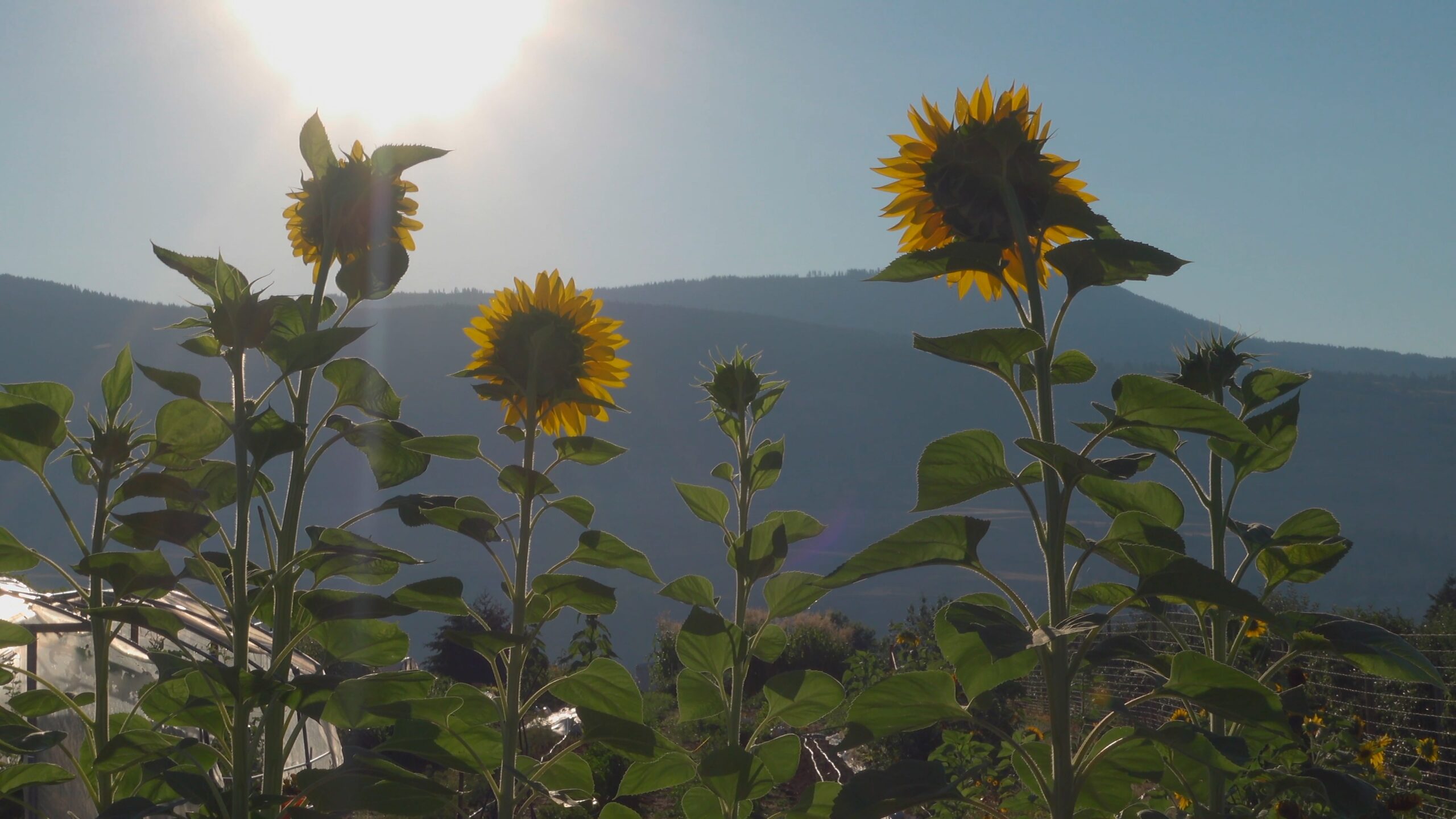 Summer 2022 – Clip